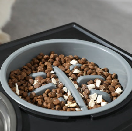 Elevated Dog Bowl for Comfy, Anti-Choke Feeding - Tim Ecommerce Specialist