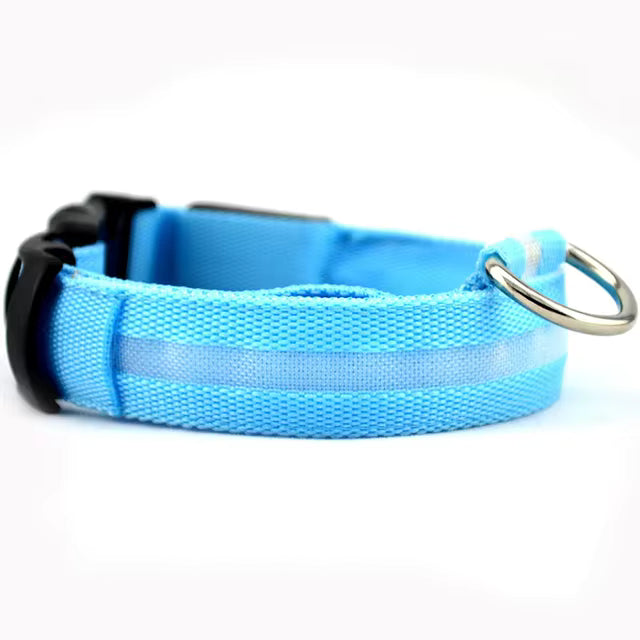 Glow In The Dark Collar - Keep Your Pet Safe and Seen After Dark