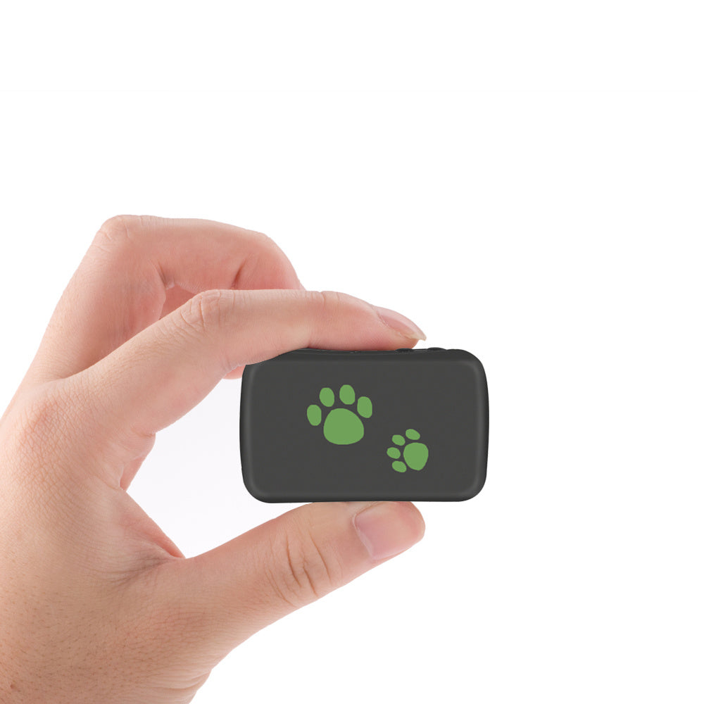 Pet GPS Tracker – Never Lose Your Furry Friend - Tim Ecommerce Specialist