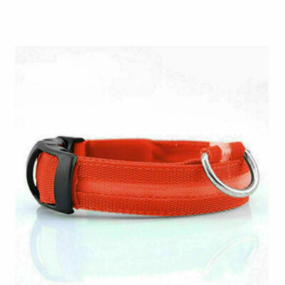 Glow In The Dark Collar - Keep Your Pet Safe and Seen After Dark