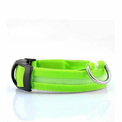 Glow In The Dark Collar - Keep Your Pet Safe and Seen After Dark